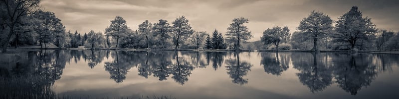 Lakeside Cabins